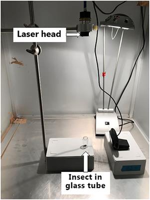 Side-effects of laser weeding: quantifying off-target risks to earthworms (Enchytraeids) and insects (Tenebrio molitor and Adalia bipunctata)